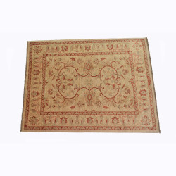 ZIEGLER DY 154X197...