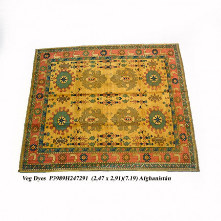 VEG DYES 247X291 P3989H247291