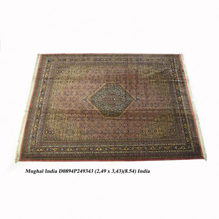 MUGAL INDIA 249X343 D0894P249343